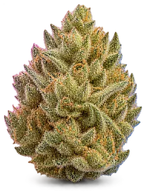 AI-generated illustration of a cannabis flower for the Sunshine Daydream 1 page, not a photo of the strain