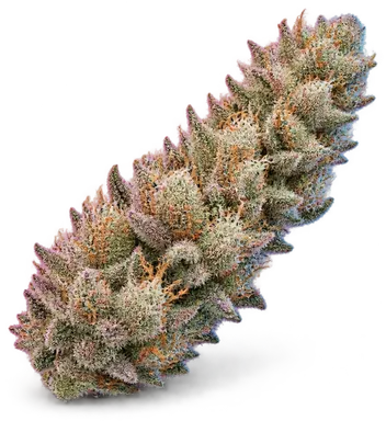 AI-generated illustration of a cannabis flower for the Super Buff Cherry page, not a photo of the strain