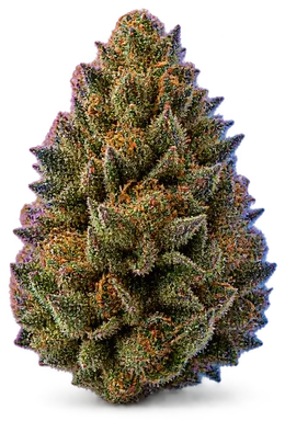 AI-generated illustration of a cannabis flower for the Super Glue page, not a photo of the strain
