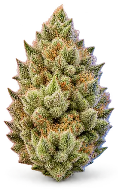 AI-generated illustration of a cannabis flower for the Super Lemon Haze page, not a photo of the strain
