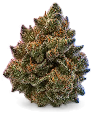 AI-generated illustration of a cannabis flower for the Super Runtz page, not a photo of the strain