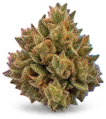 AI-generated illustration of a cannabis flower for the Super Sherb page, not a photo of the strain