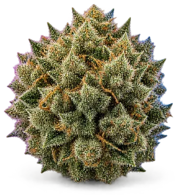 AI-generated illustration of a cannabis flower for the Super Skunk page, not a photo of the strain