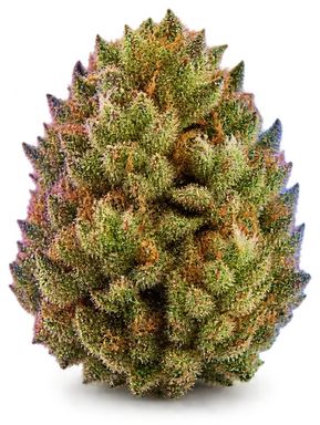 AI-generated illustration of a cannabis flower for the Super Sour Diesel page, not a photo of the strain