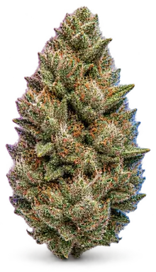 AI-generated illustration of a cannabis flower for the Supertron page, not a photo of the strain