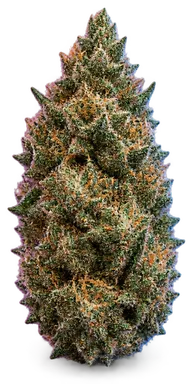 AI-generated illustration of a cannabis flower for the Supreme Diesel page, not a photo of the strain