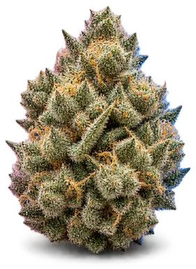 AI-generated illustration of a cannabis flower for the Supreme Gelato page, not a photo of the strain