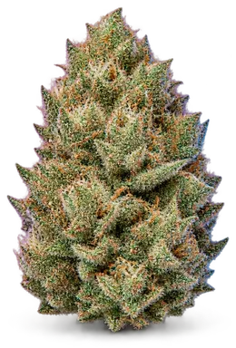 AI-generated illustration of a cannabis flower for the Sweeties page, not a photo of the strain