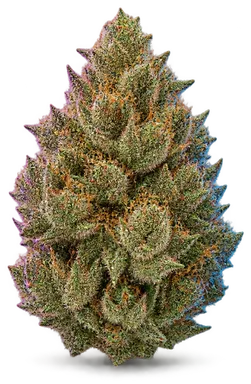 AI-generated illustration of a cannabis flower for the Sweet Tooth page, not a photo of the strain