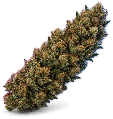 AI-generated illustration of a cannabis flower for the Tahoe OG page, not a photo of the strain