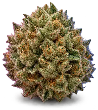 AI-generated illustration of a cannabis flower for the Tangy Zkittlez page, not a photo of the strain