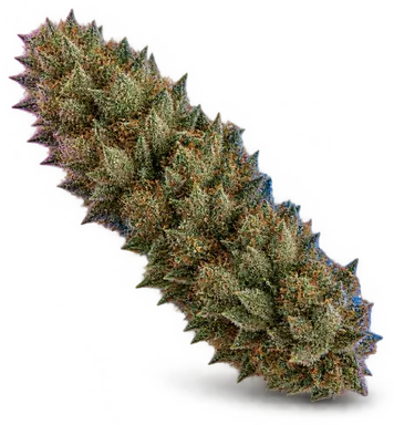 AI-generated illustration of a cannabis flower for the Team Elite Genetics page, not a photo of the strain