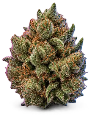 AI-generated illustration of a cannabis flower for the The Beav page, not a photo of the strain
