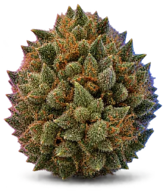 AI-generated illustration of a cannabis flower for the The Biz page, not a photo of the strain