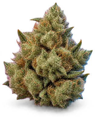 AI-generated illustration of a cannabis flower for the The Fireplace page, not a photo of the strain