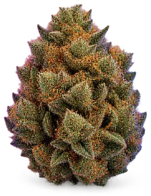 AI-generated illustration of a cannabis flower for the The Soap X Project page, not a photo of the strain