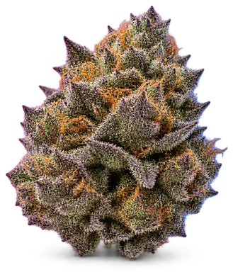 AI-generated illustration of a cannabis flower for the The White X Purple Punch page, not a photo of the strain