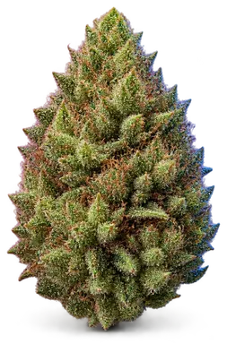AI-generated illustration of a cannabis flower for the Thin Mints X Jealousy page, not a photo of the strain