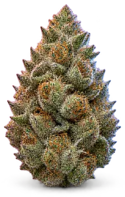 AI-generated illustration of a cannabis flower for the Thunderclap page, not a photo of the strain