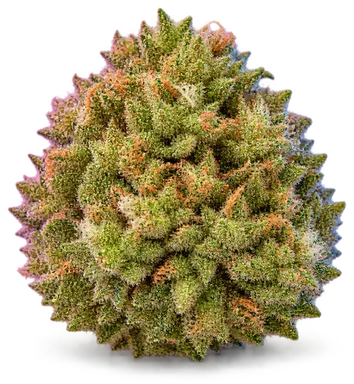 AI-generated illustration of a cannabis flower for the TK Stardawg Haze page, not a photo of the strain