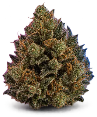 AI-generated illustration of a cannabis flower for the Tlp OG page, not a photo of the strain