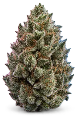 AI-generated illustration of a cannabis flower for the Tony Clifton page, not a photo of the strain