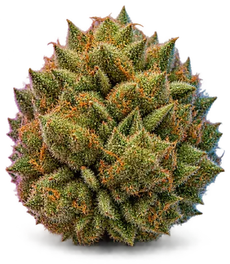 AI-generated illustration of a cannabis flower for the Topanga Cake page, not a photo of the strain