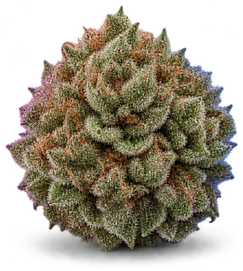 AI-generated illustration of a cannabis flower for the Toxic Cookies page, not a photo of the strain