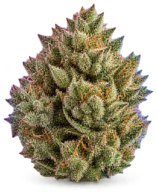 AI-generated illustration of a cannabis flower for the Trainwreck page, not a photo of the strain