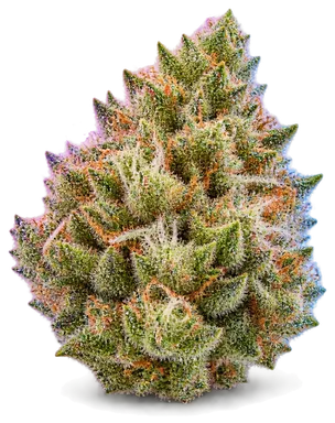 AI-generated illustration of a cannabis flower for the Triangle Mintz page, not a photo of the strain