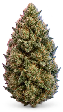 AI-generated illustration of a cannabis flower for the Triple G page, not a photo of the strain