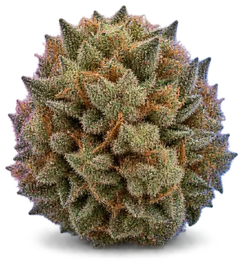AI-generated illustration of a cannabis flower for the Trip-Tease page, not a photo of the strain