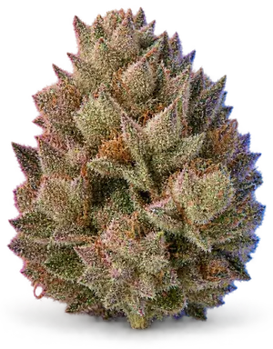 AI-generated illustration of a cannabis flower for the Trop Cherry page, not a photo of the strain