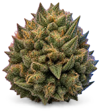 AI-generated illustration of a cannabis flower for the Tropsanto 7 page, not a photo of the strain