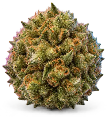 AI-generated illustration of a cannabis flower for the Trop Tangie page, not a photo of the strain