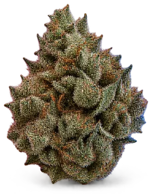 AI-generated illustration of a cannabis flower for the True OG page, not a photo of the strain