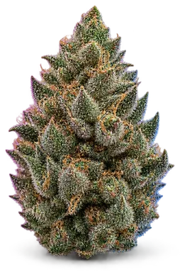AI-generated illustration of a cannabis flower for the Turbo Diesel page, not a photo of the strain