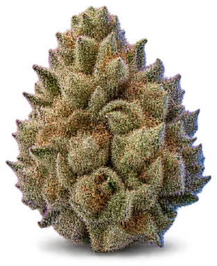 AI-generated illustration of a cannabis flower for the Unicorn Poop page, not a photo of the strain
