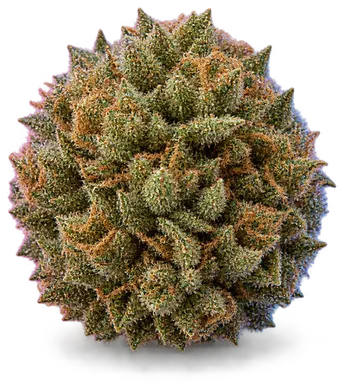 AI-generated illustration of a cannabis flower for the 007 Up page, not a photo of the strain