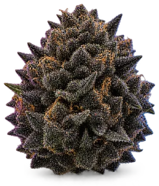 AI-generated illustration of a cannabis flower for the Vader OG page, not a photo of the strain