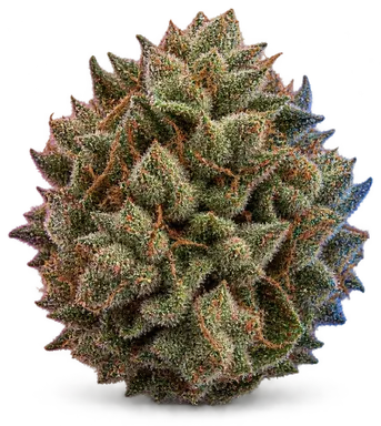 AI-generated illustration of a cannabis flower for the Vanilla Cake page, not a photo of the strain