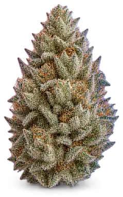 AI-generated illustration of a cannabis flower for the Vanilla Frosting page, not a photo of the strain