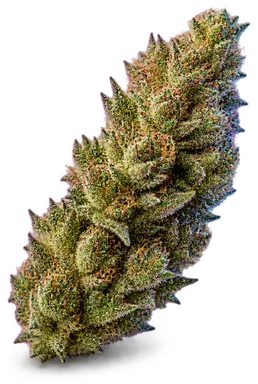 AI-generated illustration of a cannabis flower for the Vegas Blvd page, not a photo of the strain