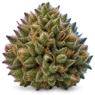AI-generated illustration of a cannabis flower for the Velvet Pie page, not a photo of the strain