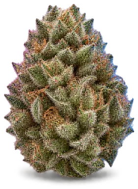 AI-generated illustration of a cannabis flower for the Vgk page, not a photo of the strain