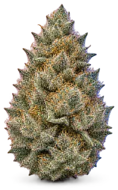 AI-generated illustration of a cannabis flower for the Vice City page, not a photo of the strain