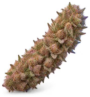 AI-generated illustration of a cannabis flower for the Watermelon Gelato page, not a photo of the strain
