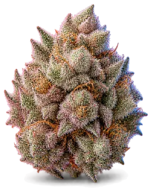 AI-generated illustration of a cannabis flower for the Watermelon Mimosa page, not a photo of the strain