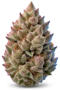 AI-generated illustration of a cannabis flower for the Watermelon Runtz page, not a photo of the strain