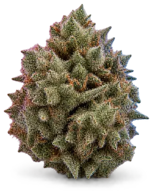 AI-generated illustration of a cannabis flower for the Wedding Cake page, not a photo of the strain